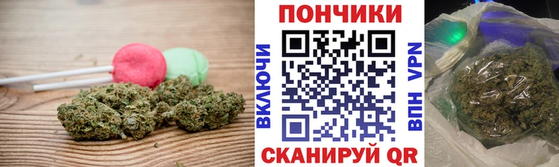 Cannafood марихуана Балабаново